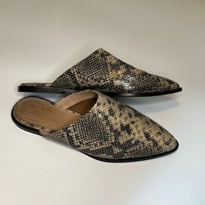 Seychelles Impersonate Mule snakeskin print